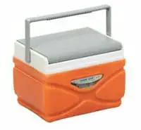 Ice cooler
