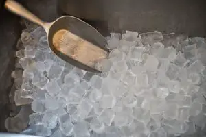 Plenty of ice cubes