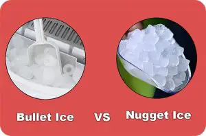 Bullet Ice Vs Nugget Ice