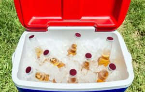 Best Ice Maker For Coolers
